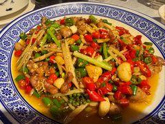 姜丝兔兔-新蜀会四川豆花(五羊店)