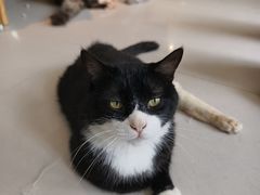 -平行世界·猫咖(首经贸店)