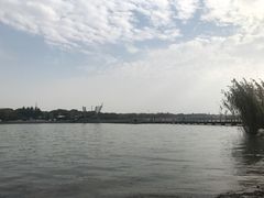 -金栗王(清扬路店)