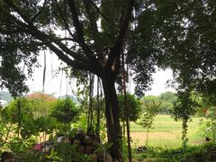 -龟场私房菜