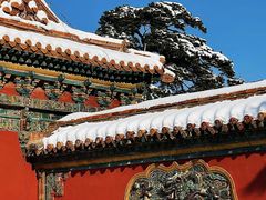 -北陵公园