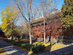 -大钟寺古钟博物馆