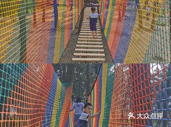 青岛蘑法森林乐园 可以遛娃烧烤露营的宝藏地