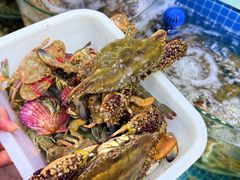 -尚膳蒸汽海鲜自助餐厅