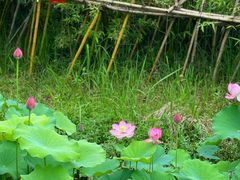 -百翠山居.家飨餐厅