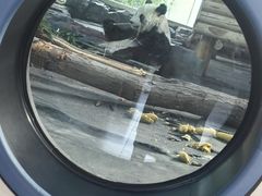 -秦皇岛野生动物园