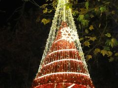 -Tiffany & Co.蒂芙尼
(南京德基广场店)