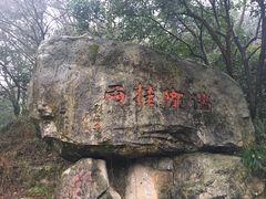 -杭州少年儿童公园