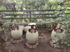 -呀路古热带植物园