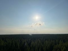 -黄海国家森林公园