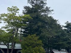 -北海道神宫