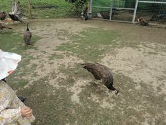 -秀丽东方