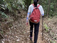 -东莞市大岭山森林公园