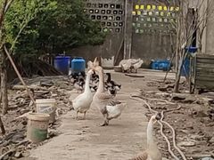 -不觉晓CAMPING(上海迪士尼营地店)