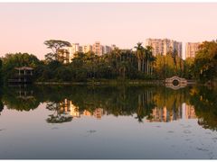 -中国科学院华南植物园