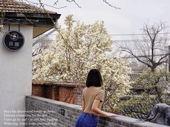 -自如ZSPACE四合院艺术餐厅