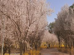 -郑州植物园