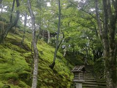 -常寂光寺