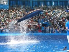 -多彩贵州城极地海洋世界