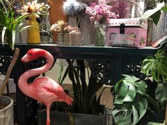 景观位-随心小姐