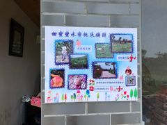 -南汇新场正宗水蜜桃采摘