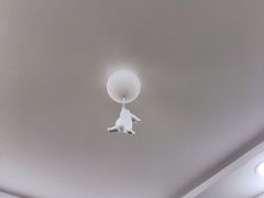 -呷贺盐酥鸡(抄纸巷店)
