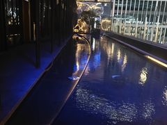 -Hi City·城市之巅