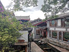 -七采菌园·野生菌石锅鱼(环城北路店)
