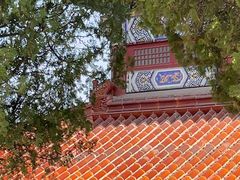 -龙口南山旅游景区