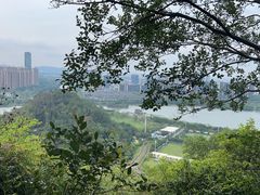 -顺峰山公园