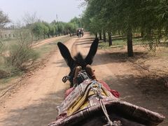 -黄沙古渡原生态旅游区