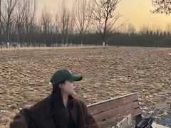 -汉长安城未央宫国家考古遗址公园