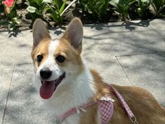 -赵璐海鲜面馆(德行路店)