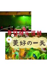 -恐龙探索乐园(磁器口店)