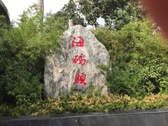 -福泉海码头(六里山店)