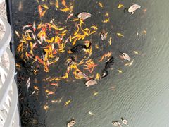-青岛森林野生动物世界