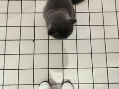-ID.PHOTO照相馆(嘉里企业中心店)