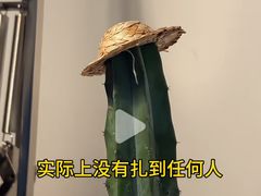 -古南都·老广东酒楼(龙江店)