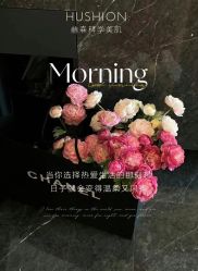 -LUNA皮相美·骨相美高级美感