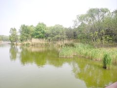 -翠湖国家城市湿地公园