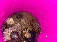 -青岛第三海水浴场