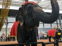 -彩虹云霄拜约克摩天塔