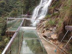 -九龙江国家森林公园