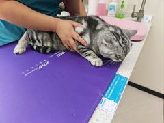-美联众合动物医院·24h京西诊疗中心