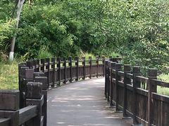 -羊山湖公园