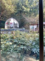 -尚圣月子会所·庄园式月子中心(萧山湘湖店)