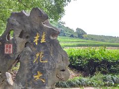 -中国茶叶博物馆(双峰馆区)