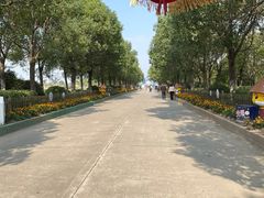 -上海都市菜园