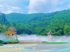 -西双版纳原始森林公园