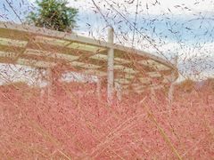 -牛岗山公园
